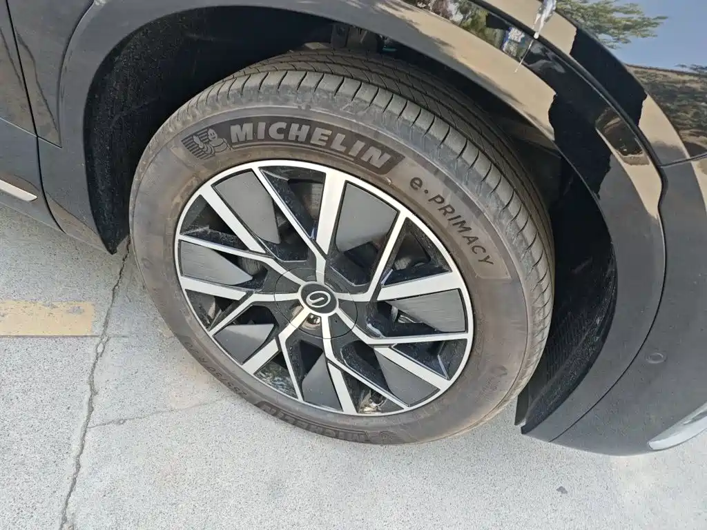GAC Motor Trumpchi Xiangwang S9 — миниатюра 24