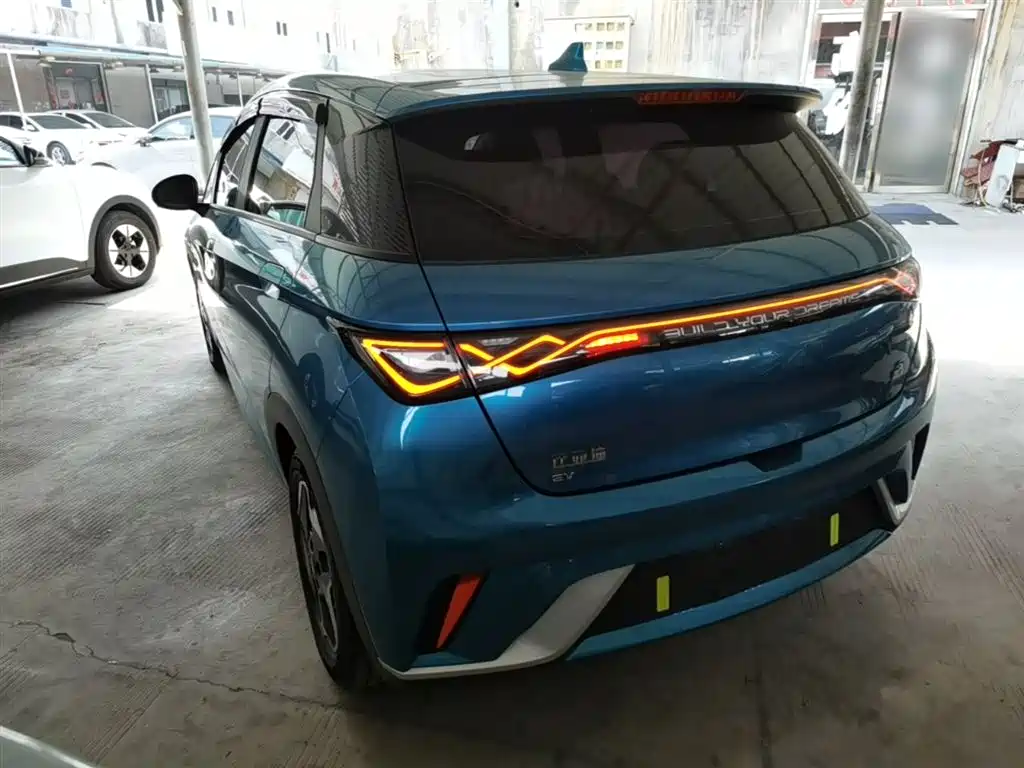 BYD Dolphin 2021 405km Fashion