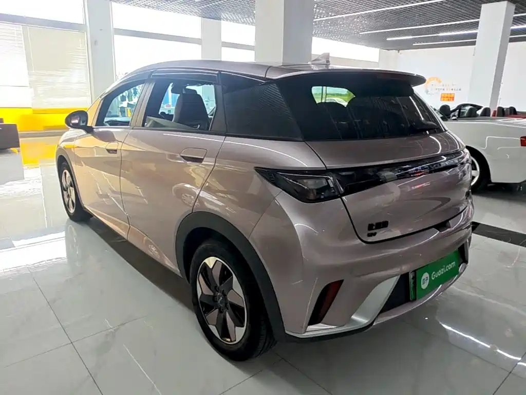 BYD Dolphin — миниатюра 5