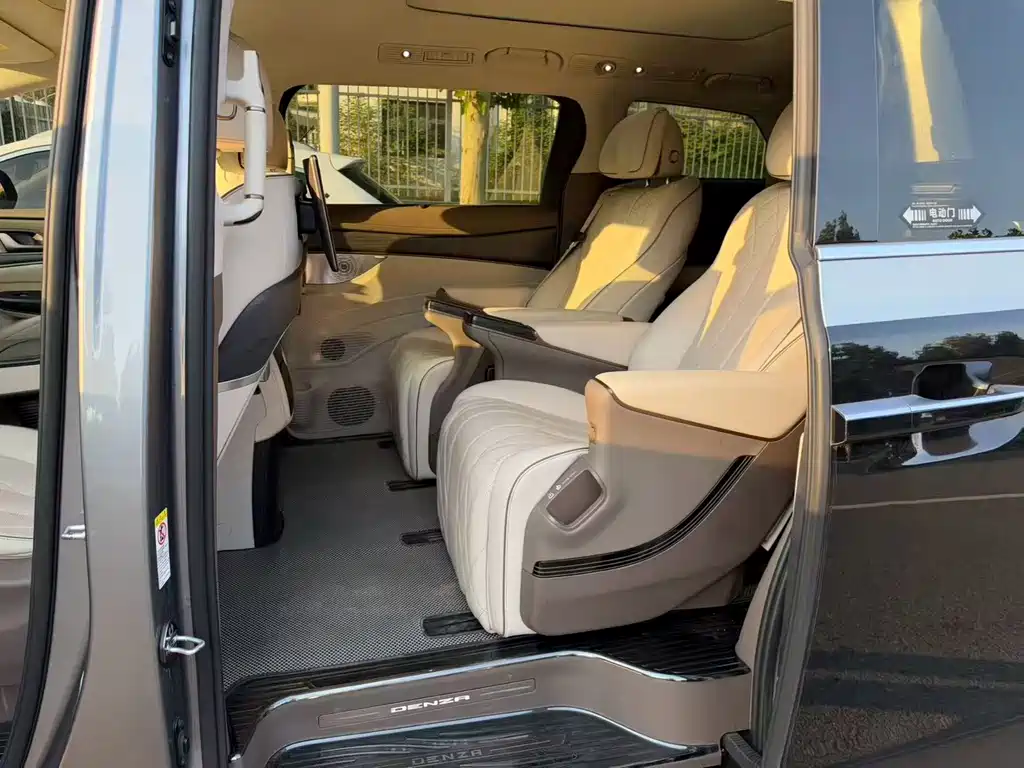 Denza Denza D9 — миниатюра 6