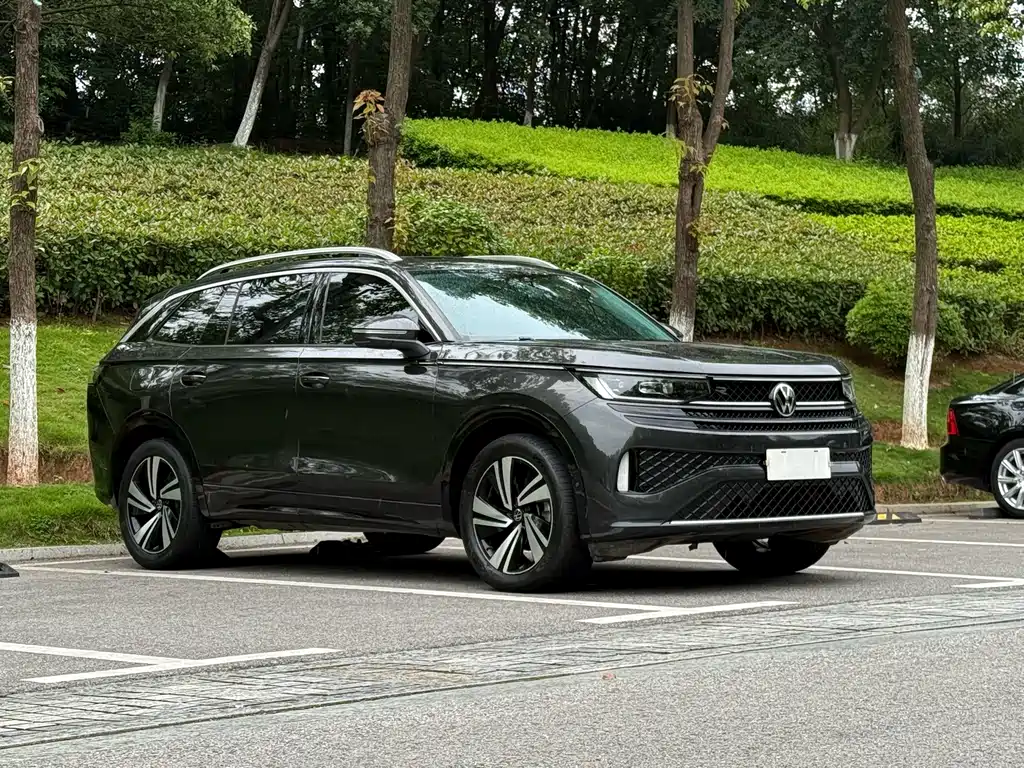 Volkswagen Tavendor — миниатюра 3