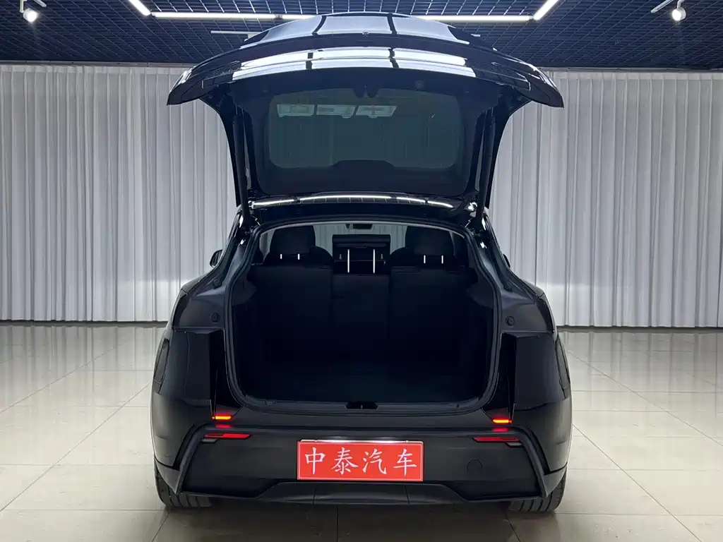 Tesla Model Y — миниатюра 6