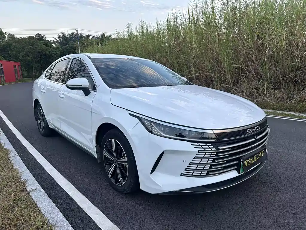 BYD Destroyer 05 — миниатюра 3