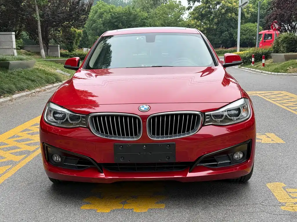 BMW 3 Series GT 320i Elegant Design Package, фото 2