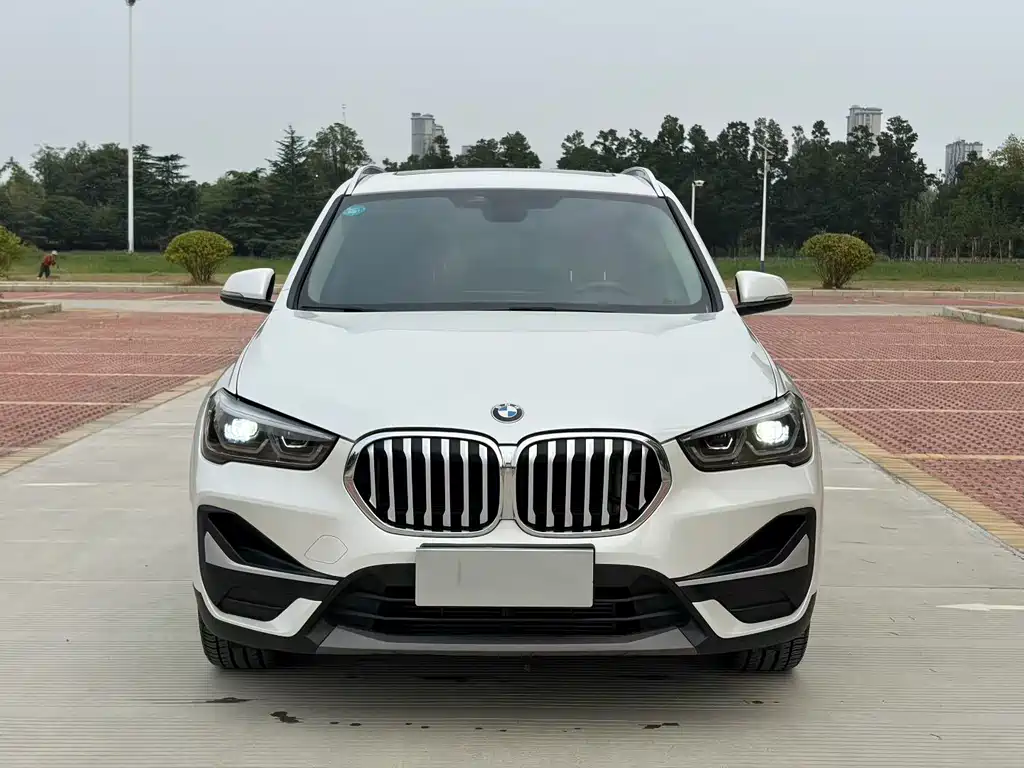 BMW X1 — миниатюра 2