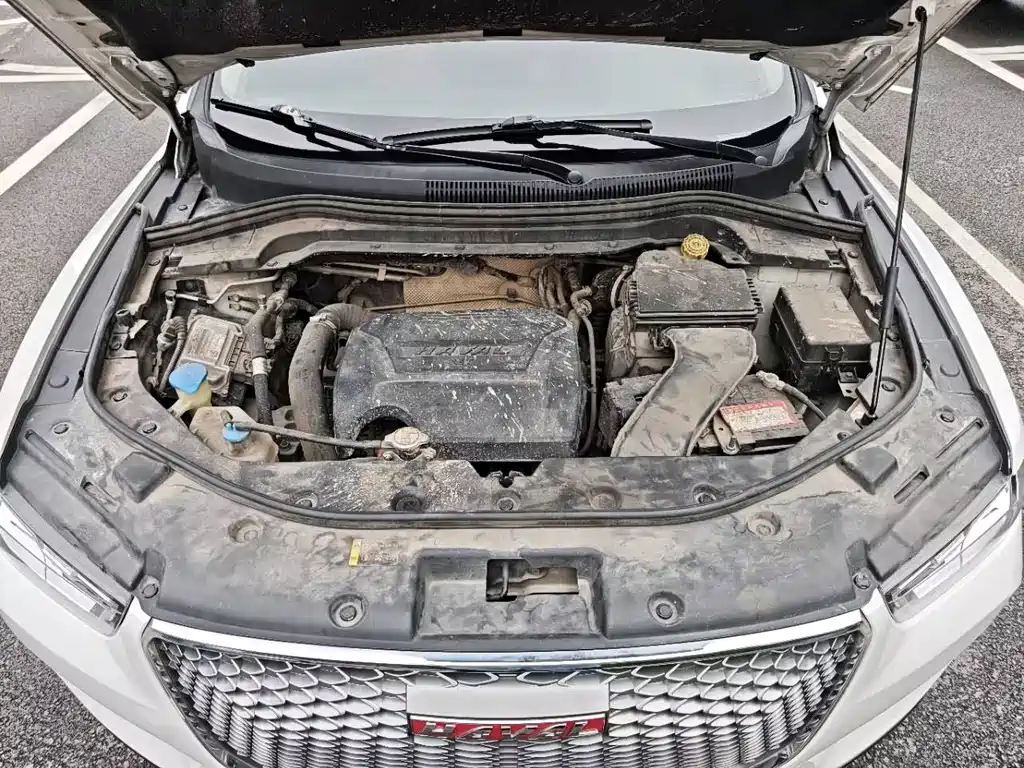 Haval H2s Red Label 1.5T Manual Elite Type, фото 8