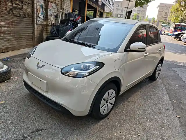 WULING AUTOMOBILE WULING BINGGUO 2025