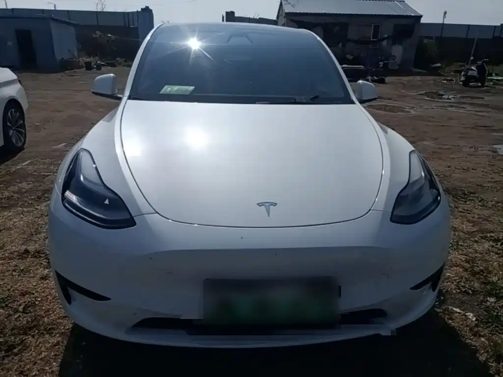 Tesla Model Y — миниатюра 3