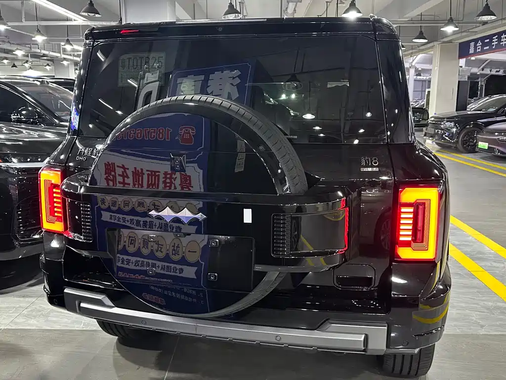 Fang Cheng Bao Leopard 8 — миниатюра 15