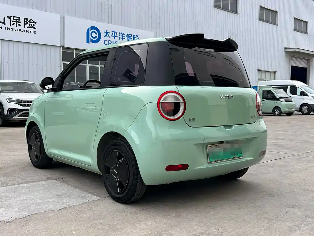 Qiyuan Lumin — миниатюра 6