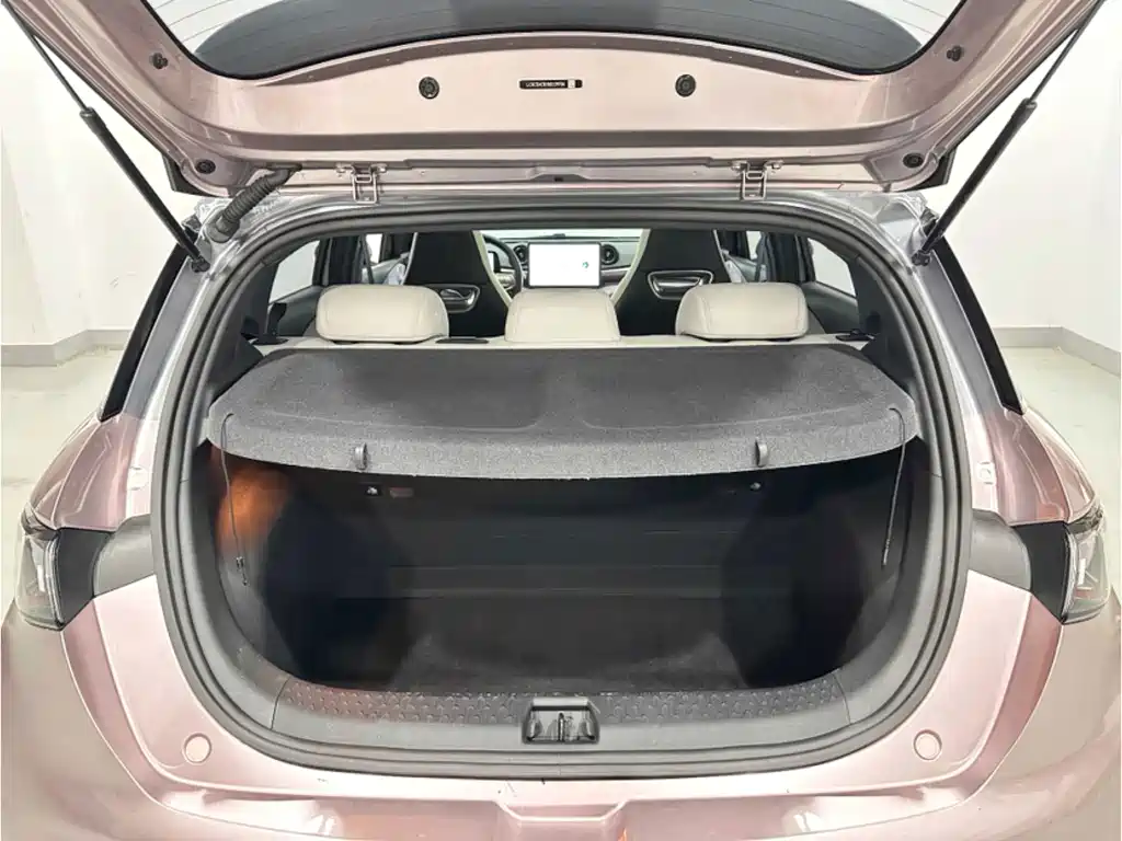 BYD Dolphin — миниатюра 10