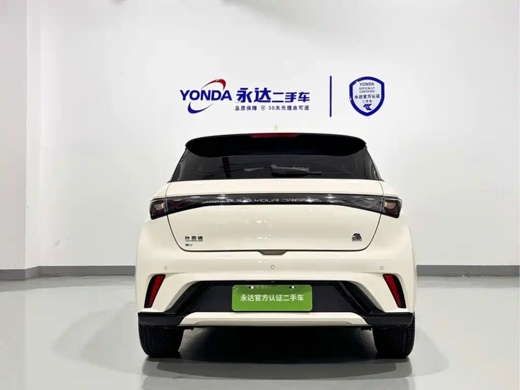 BYD Dolphin — миниатюра 3