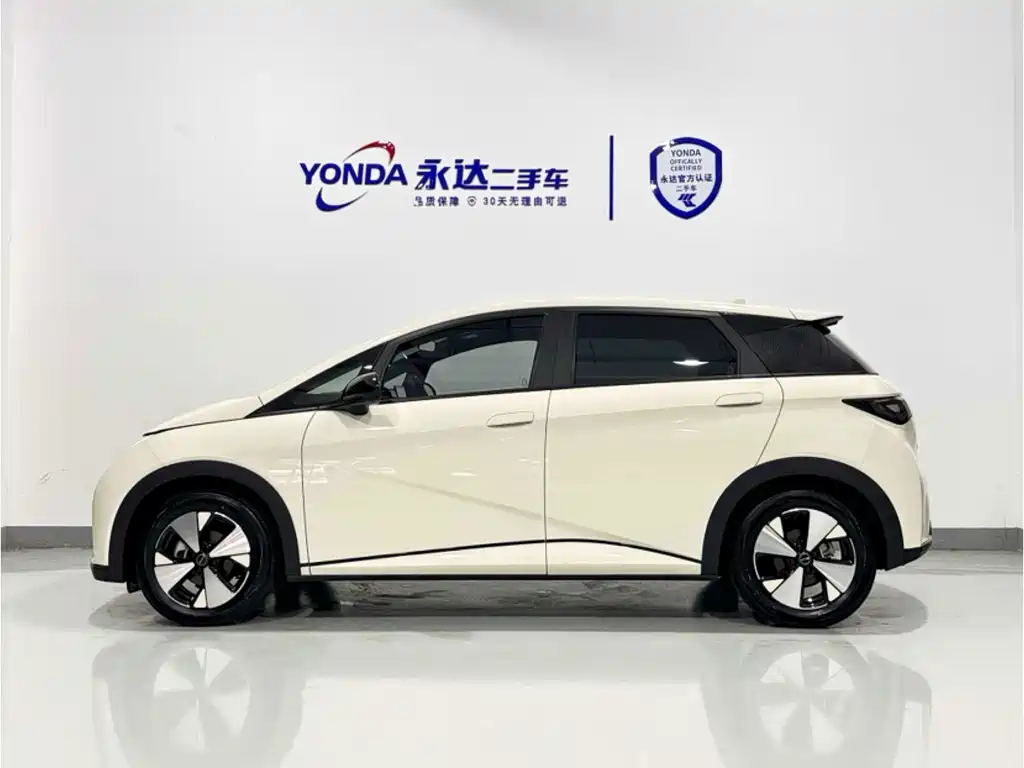 BYD Dolphin — миниатюра 4