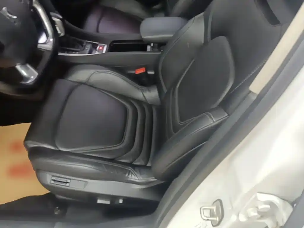 DS DS 4S — миниатюра 15