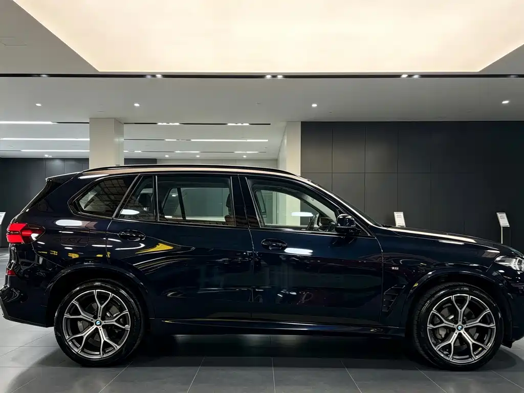 BMW X5 — миниатюра 6