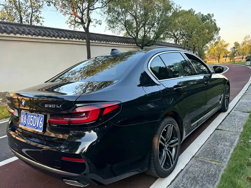 BMW 5 Series — миниатюра 5