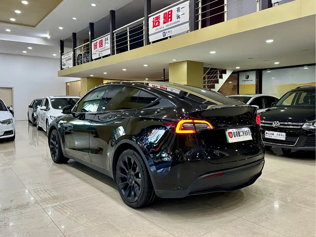 Tesla Model Y — миниатюра 7