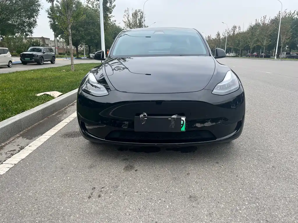 Tesla Model Y — миниатюра 2