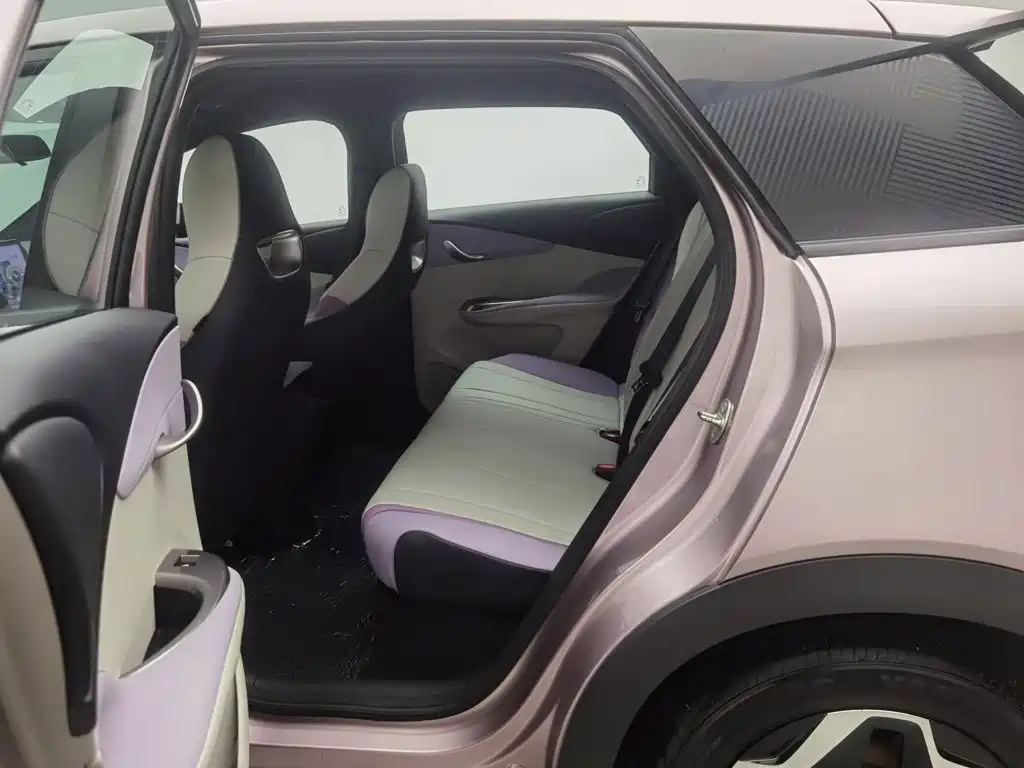 BYD Dolphin — миниатюра 15