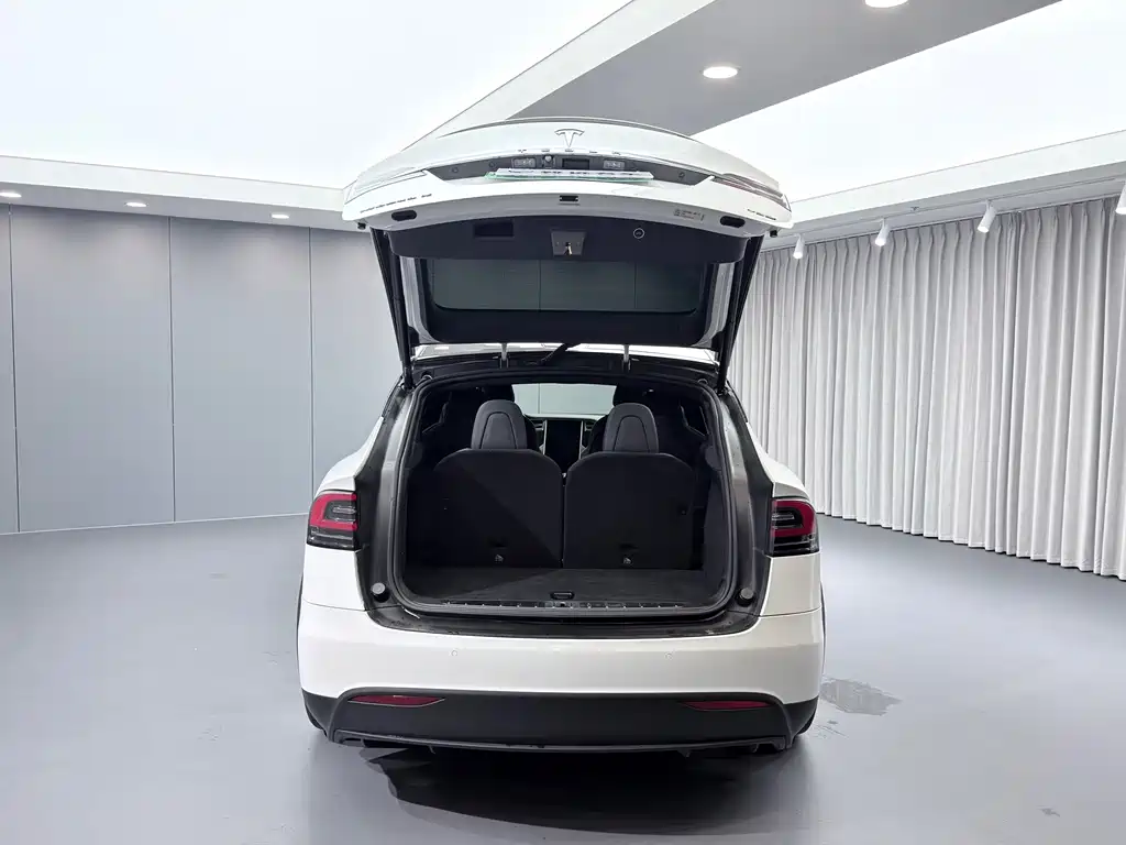 Tesla Model X — миниатюра 18