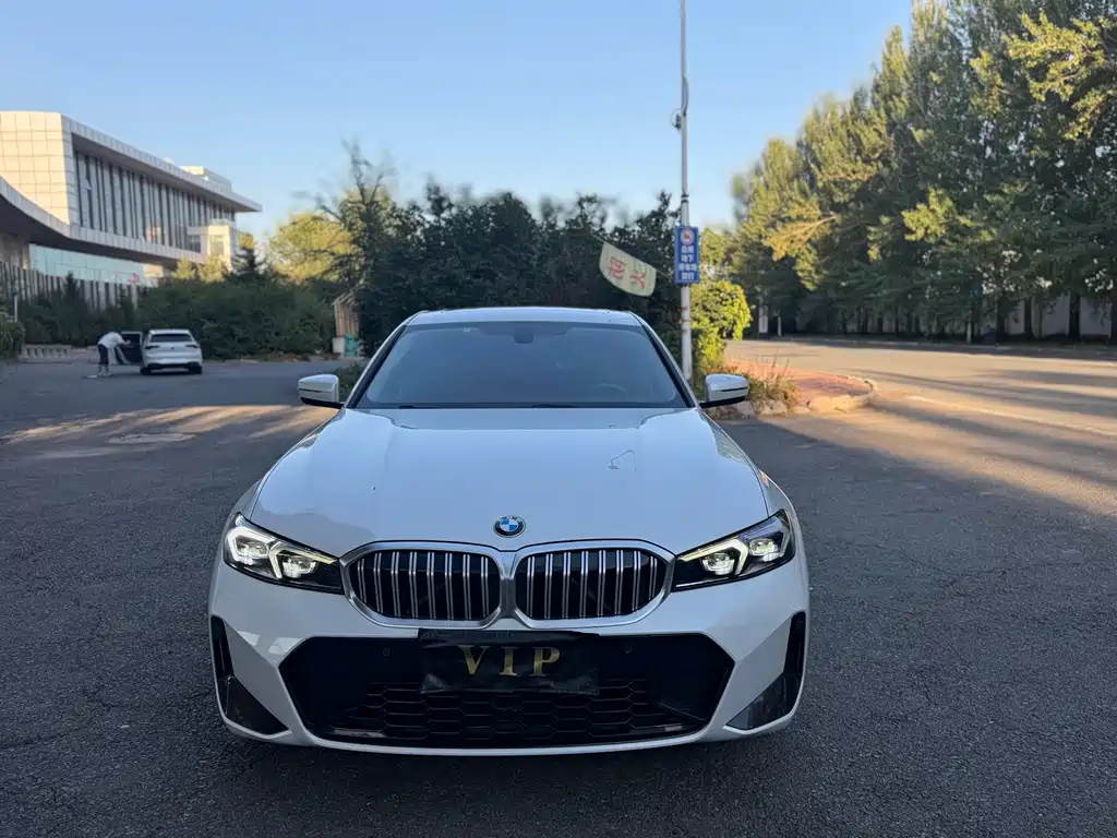 BMW 3 Series — миниатюра 2