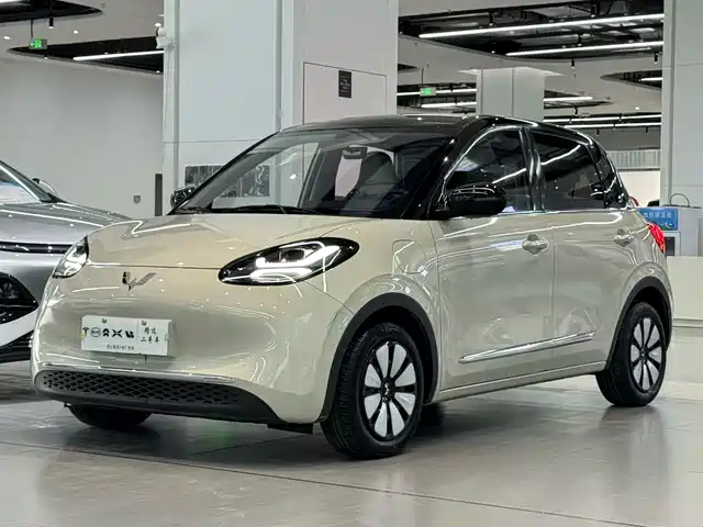 WULING WULING BINGGUO 2024