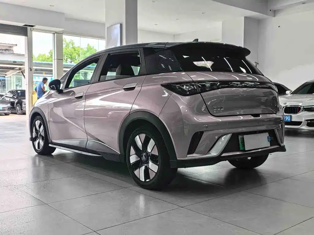BYD Dolphin — миниатюра 12