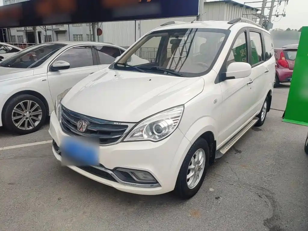 BAW Weiwang M20