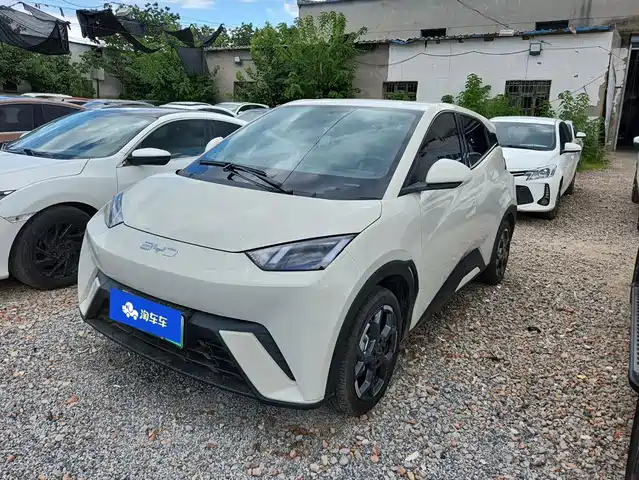 2024 BYD Seagull