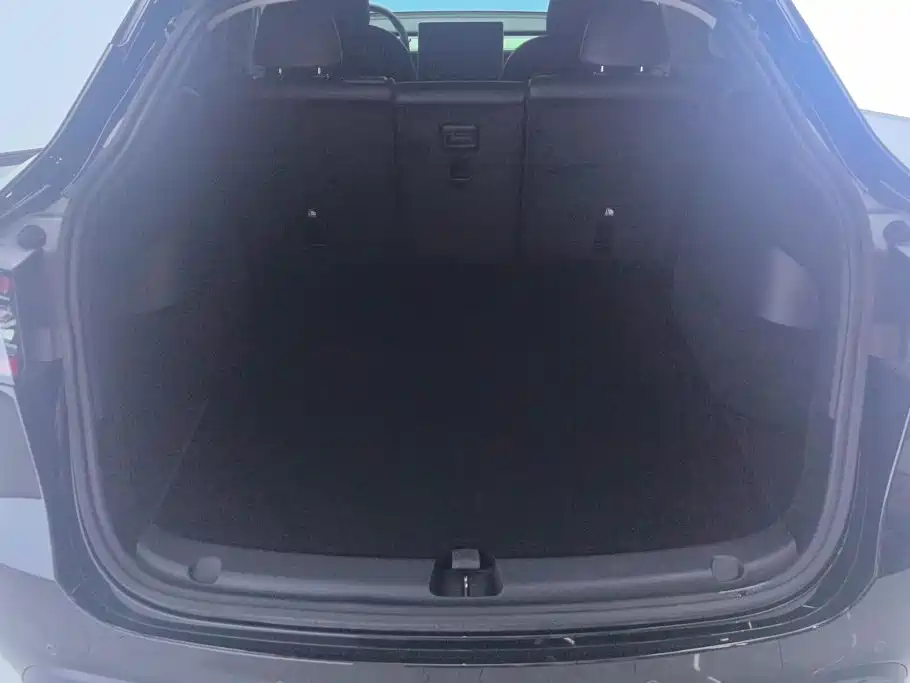 Tesla Model Y — миниатюра 4