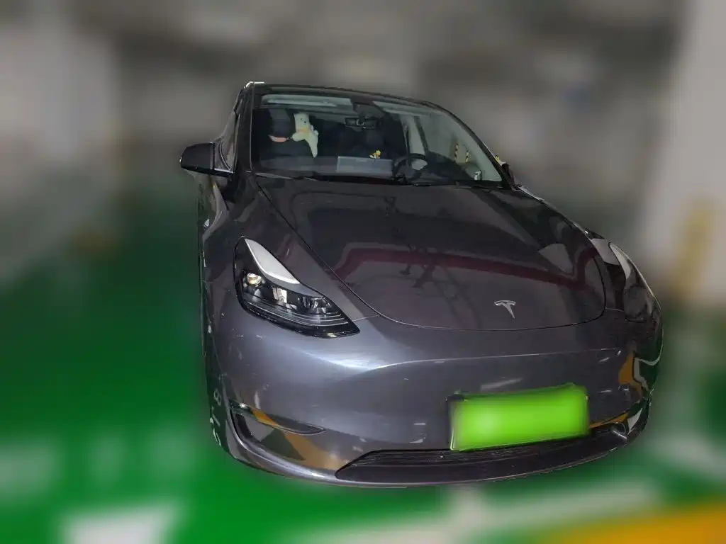 Tesla Model Y — миниатюра 3