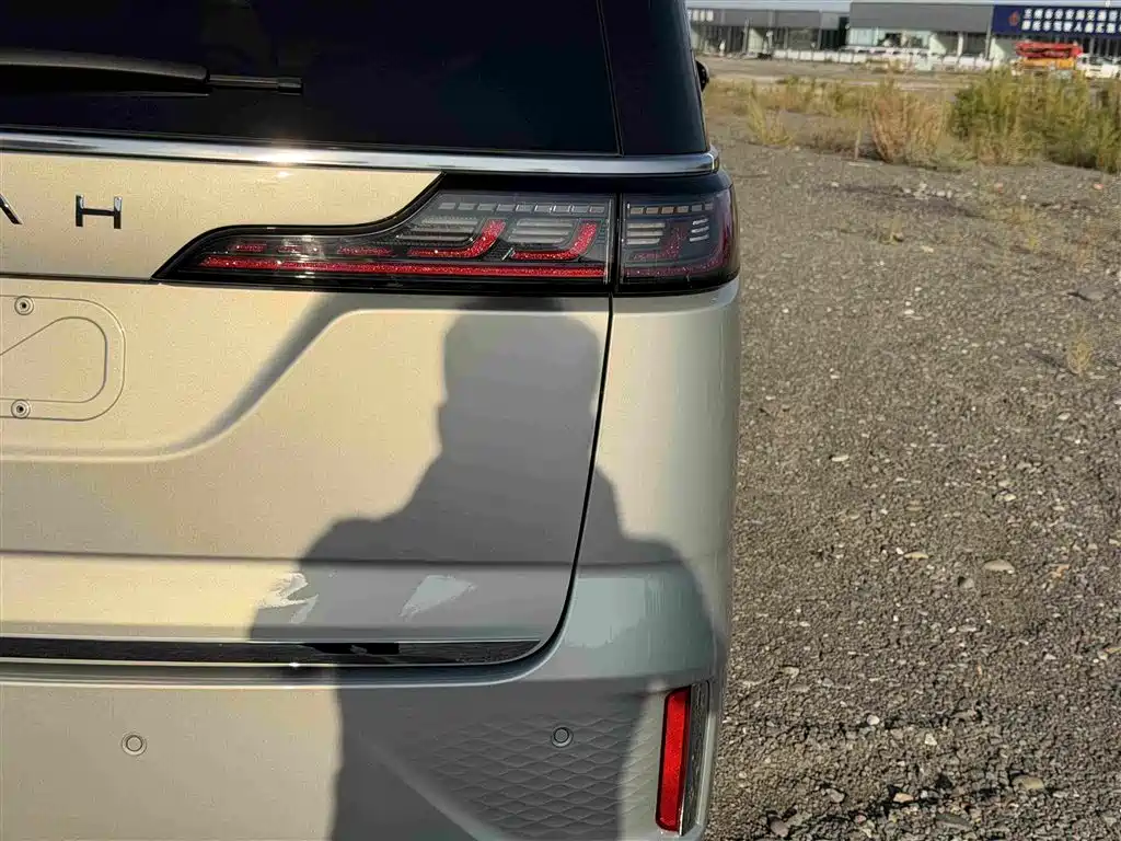 VOYAH Dreamer — миниатюра 18