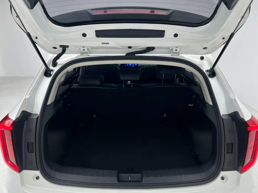 Haval Chulian — миниатюра 19