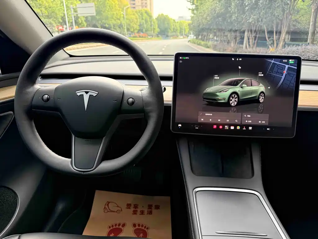 Tesla Model Y — миниатюра 15