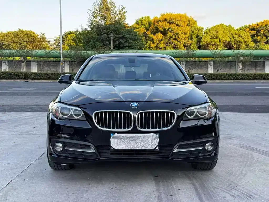 BMW 5 Series — миниатюра 2
