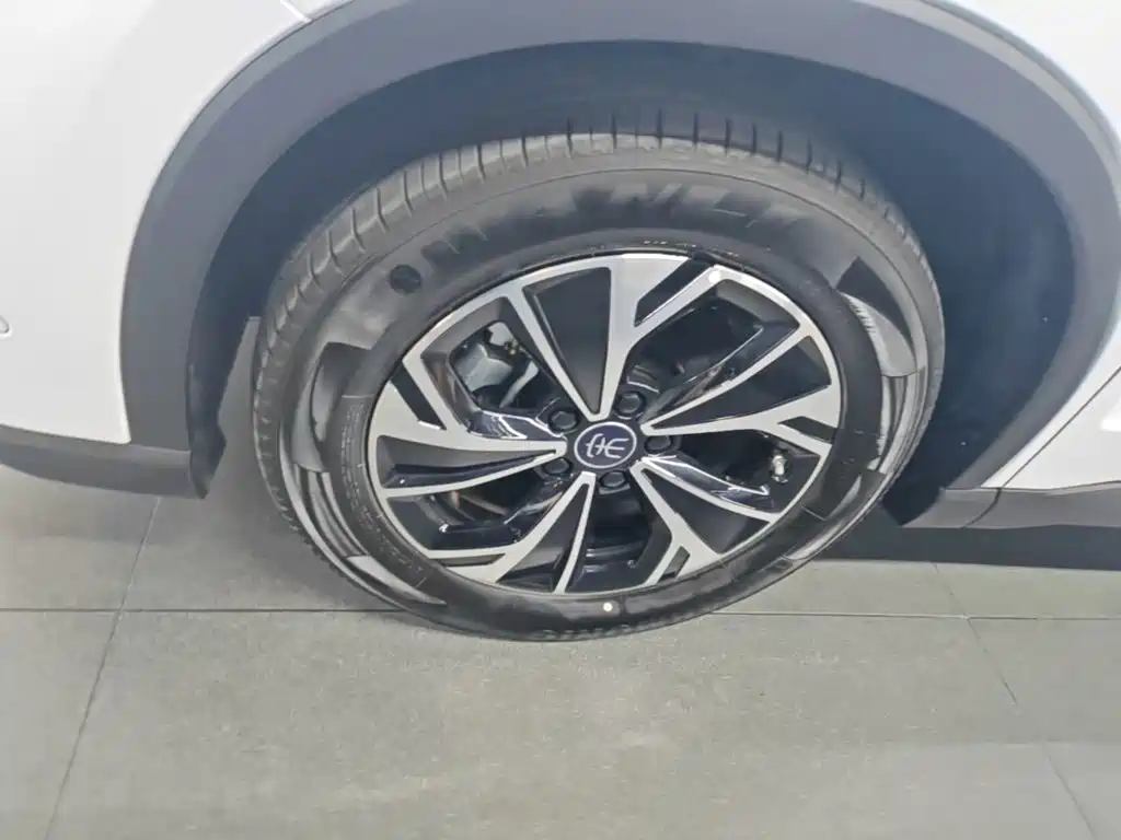 BYD Pro New Energy — миниатюра 23