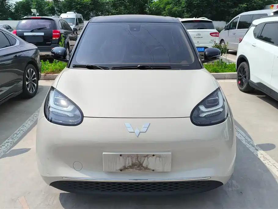 Wuling Binguo 2023 333km Enjoy