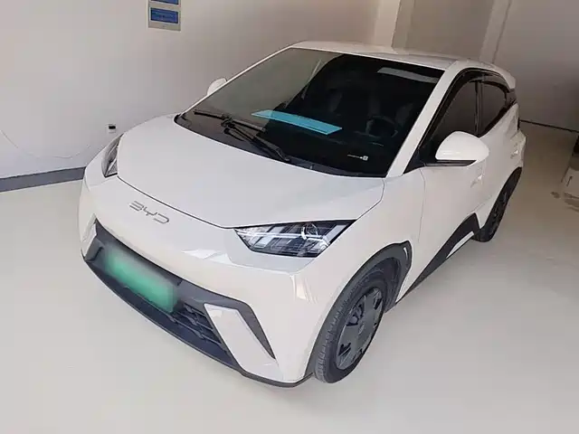 2024 BYD Seagull