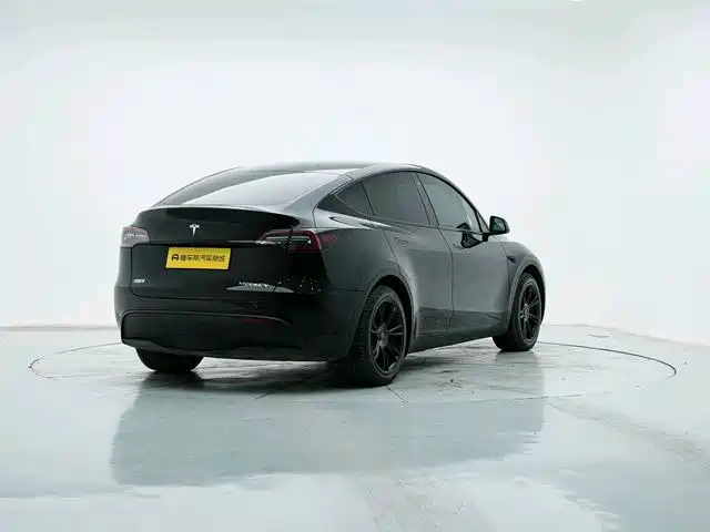Tesla Model Y — миниатюра 8