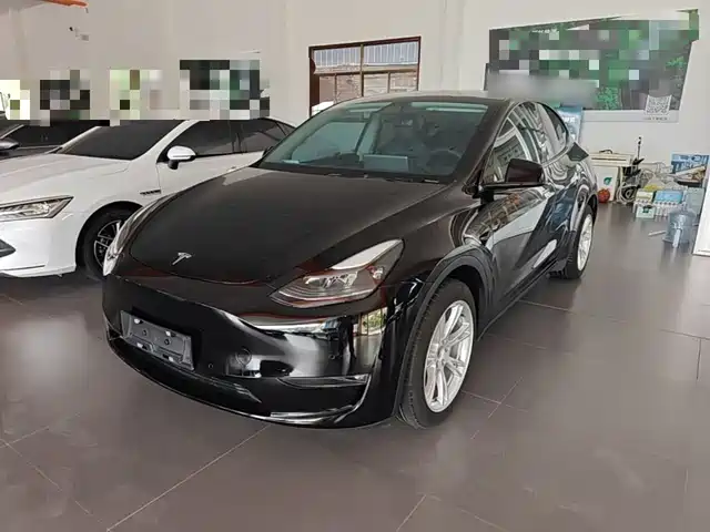 Tesla Model