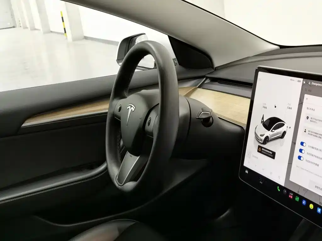 Tesla Model 3 — миниатюра 22