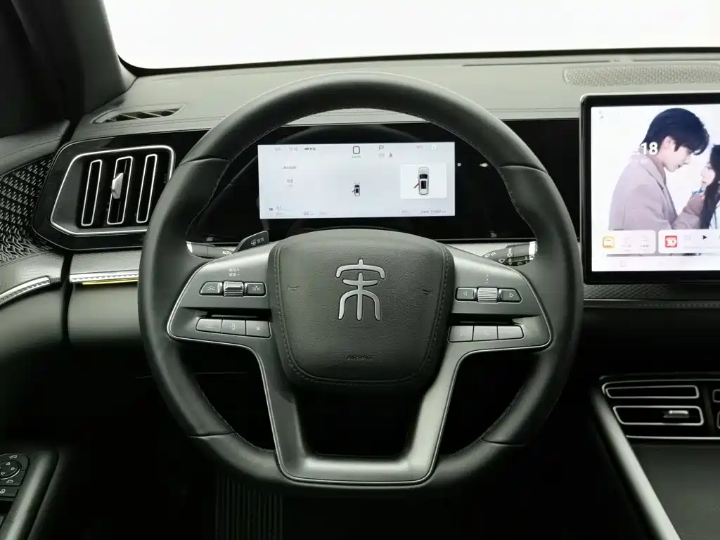BYD Pro New Energy — миниатюра 11