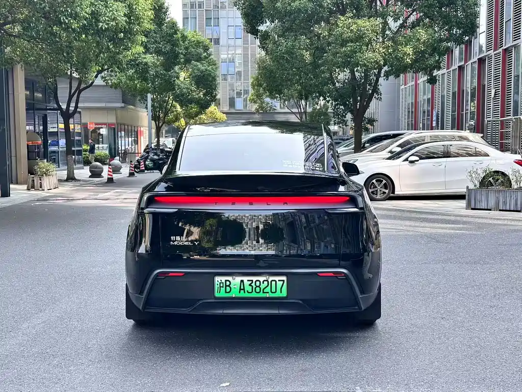 Tesla Model Y — миниатюра 8