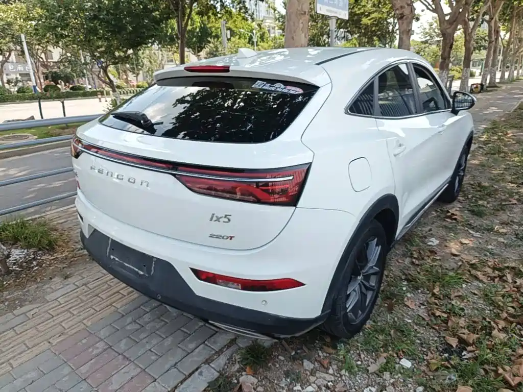 Fengguang Fengguang ix5 — миниатюра 7