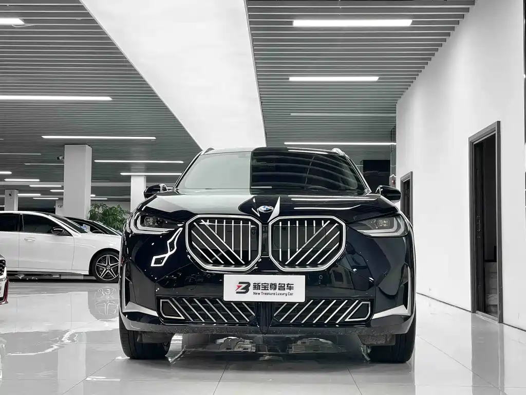 BMW X3 — миниатюра 2