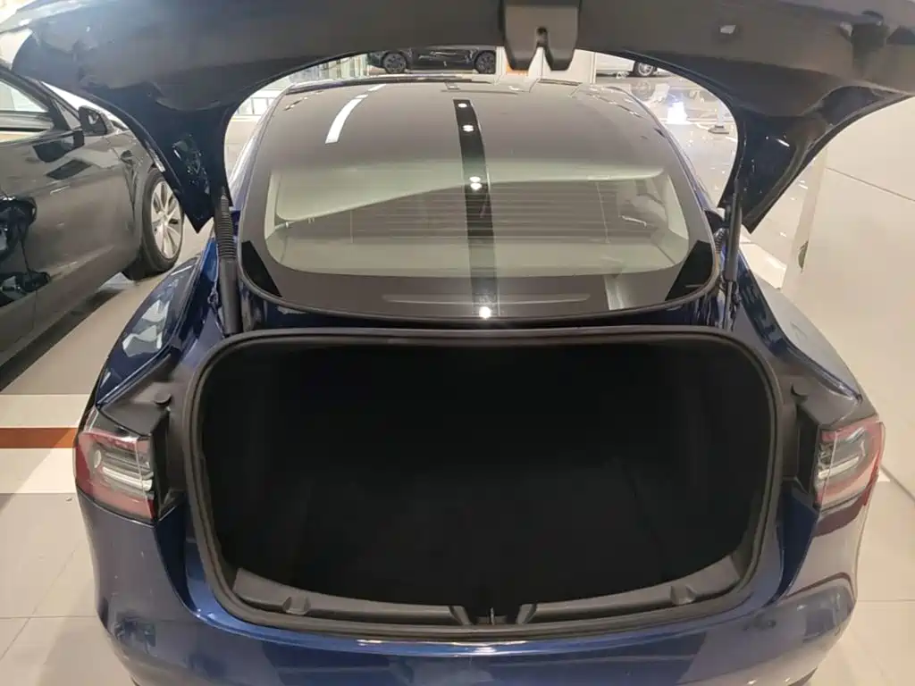 Tesla Model 3 — миниатюра 19