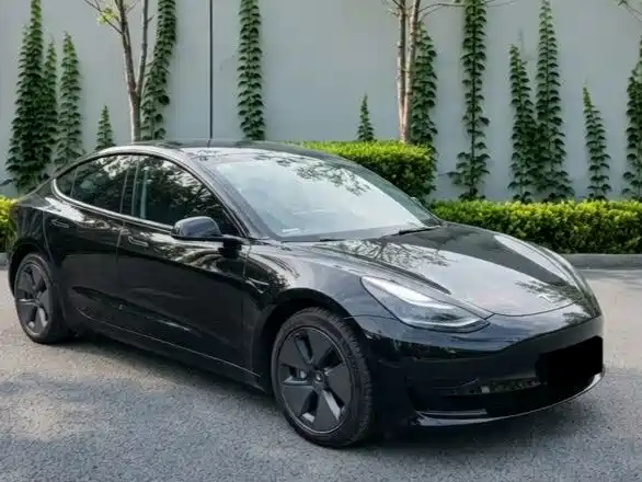 Tesla Model 3 — миниатюра 3