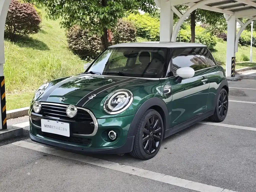 Mini Mini 2021