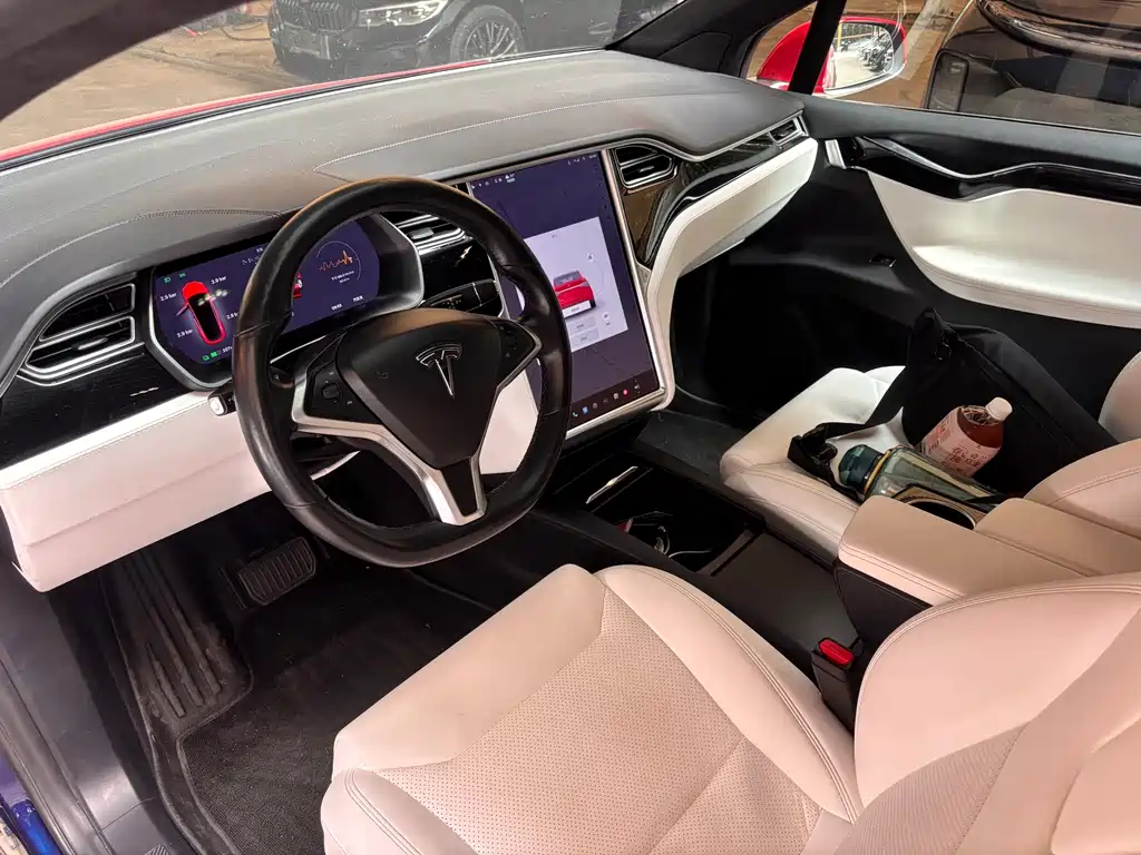 Tesla Model X — миниатюра 5