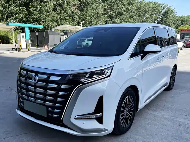 2024 Denza D9
